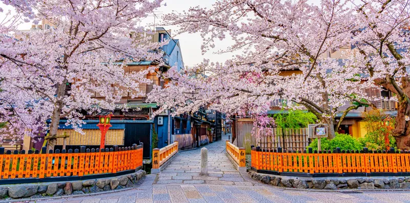 京都 姬路 神戶 春櫻之旅